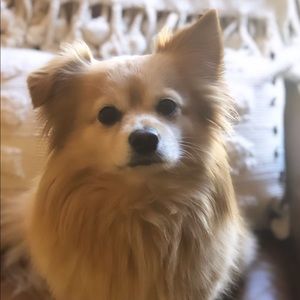 Meet your Posher, Noah